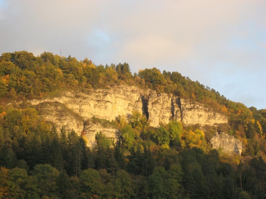 Gaestehaus Krone Oberndorf am Neckar Pokoj fotografie