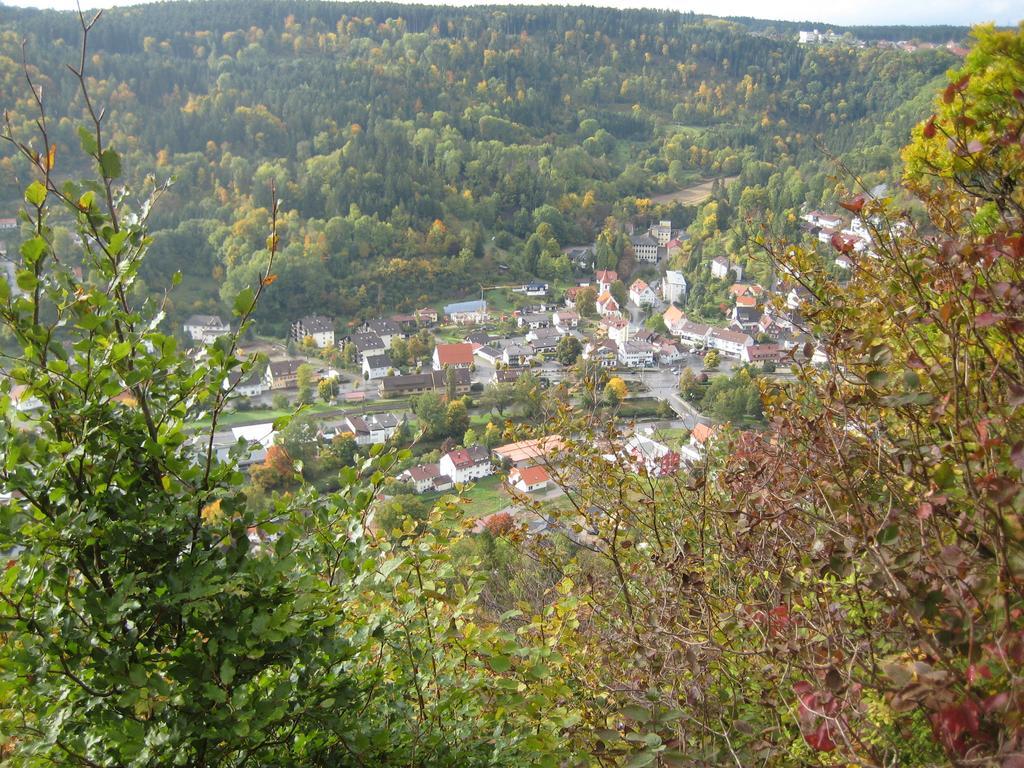 Gaestehaus Krone Oberndorf am Neckar Pokoj fotografie